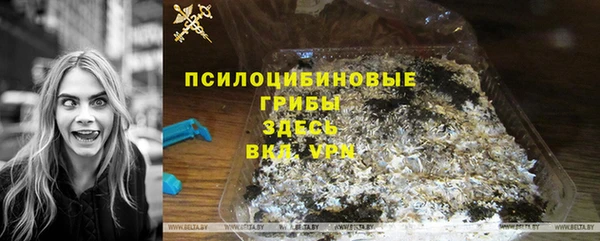 круглые Аркадак