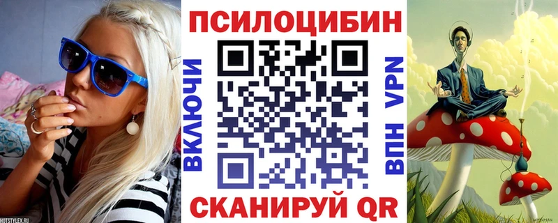 что такое наркотик  Полярный  Псилоцибиновые грибы MAGIC MUSHROOMS 